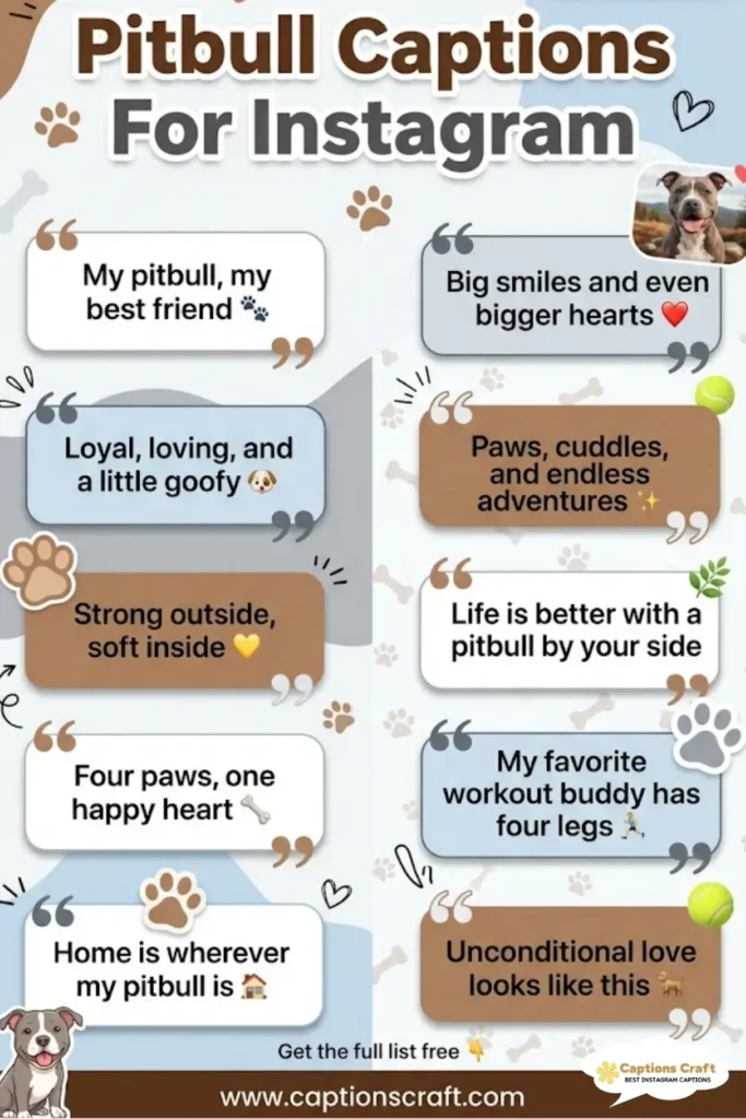 139+ Powerful Pitbull Captions For Instagram and Quotes to Showcase Your Love