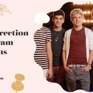 149+ Amazing One Direction Captions For Instagram and Quotes to Shine Bright