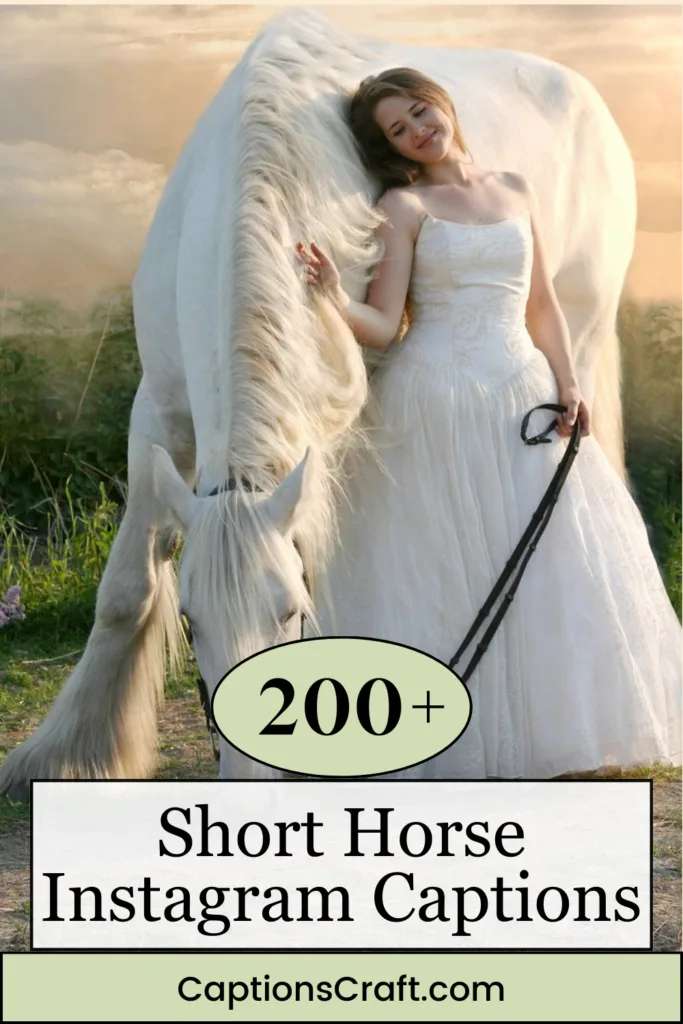 Short Horse Instagram Captions