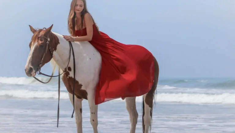 200+ Short Horse Instagram Captions to Gallop into Fun zz