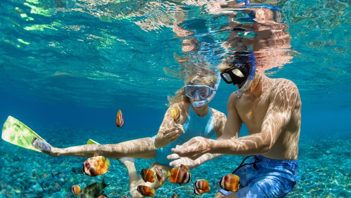 Snorkeling Captions