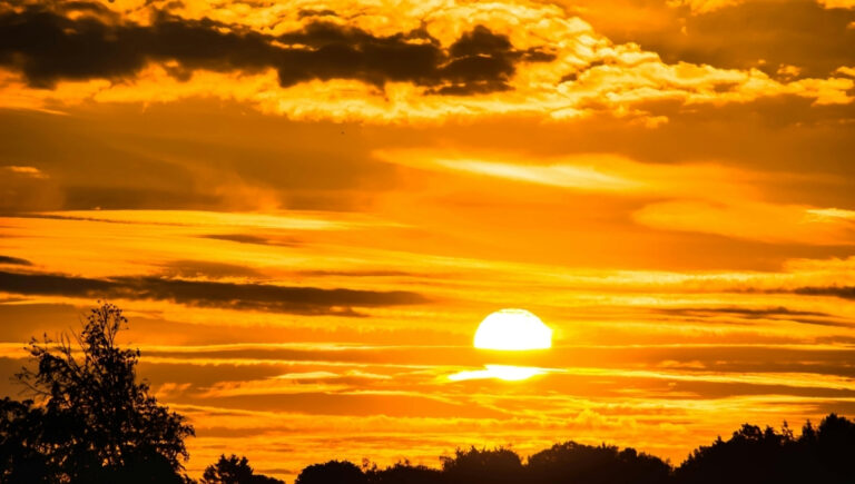 200 Good Morning Quotes to Brighten Your Day Ahead