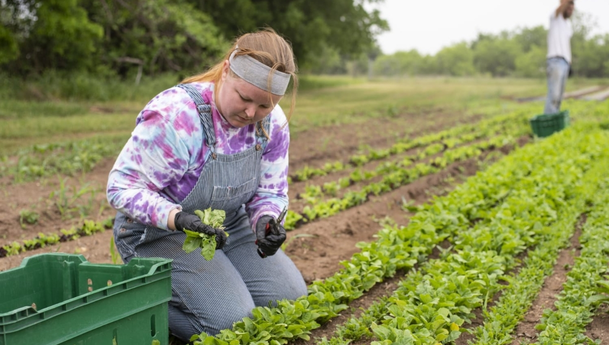 200+ Inspiring Farmer Quotes to Celebrate Hard Work and Nature