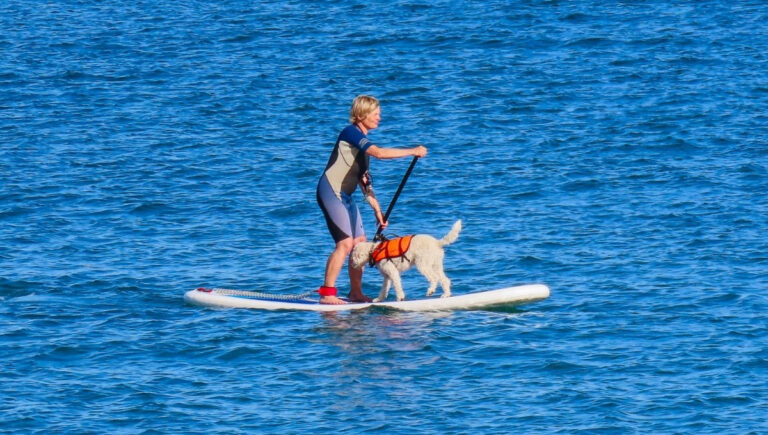 200 Paddle Boarding Instagram Captions for Your Next Adventure