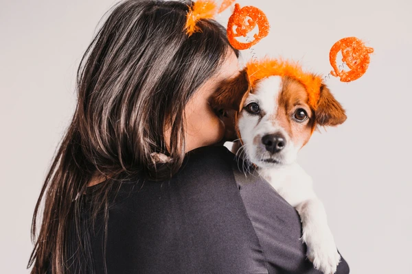 200+ Dog Halloween Instagram Captions That Will Make Your Pup the Star 3 Adorable Halloween Captions for Your Pup