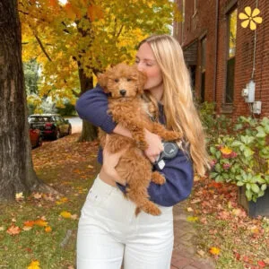 200+ Autumn Dog Instagram Captions That Celebrate Fall Furry Friends