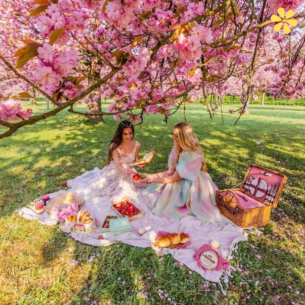 Cherry Blossom Festival Quotes