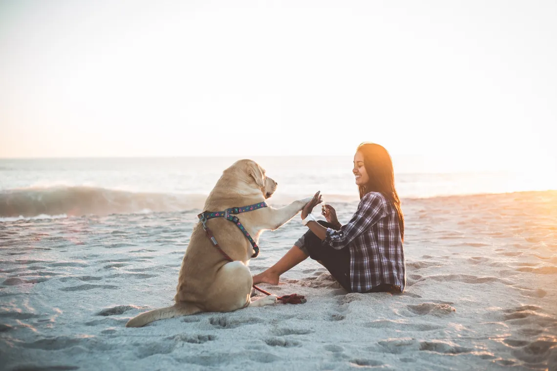 200+ Dog Lover Captions For Instagram That Will Make Your Heart Wag 3 Cute Captions for Puppy Pictures