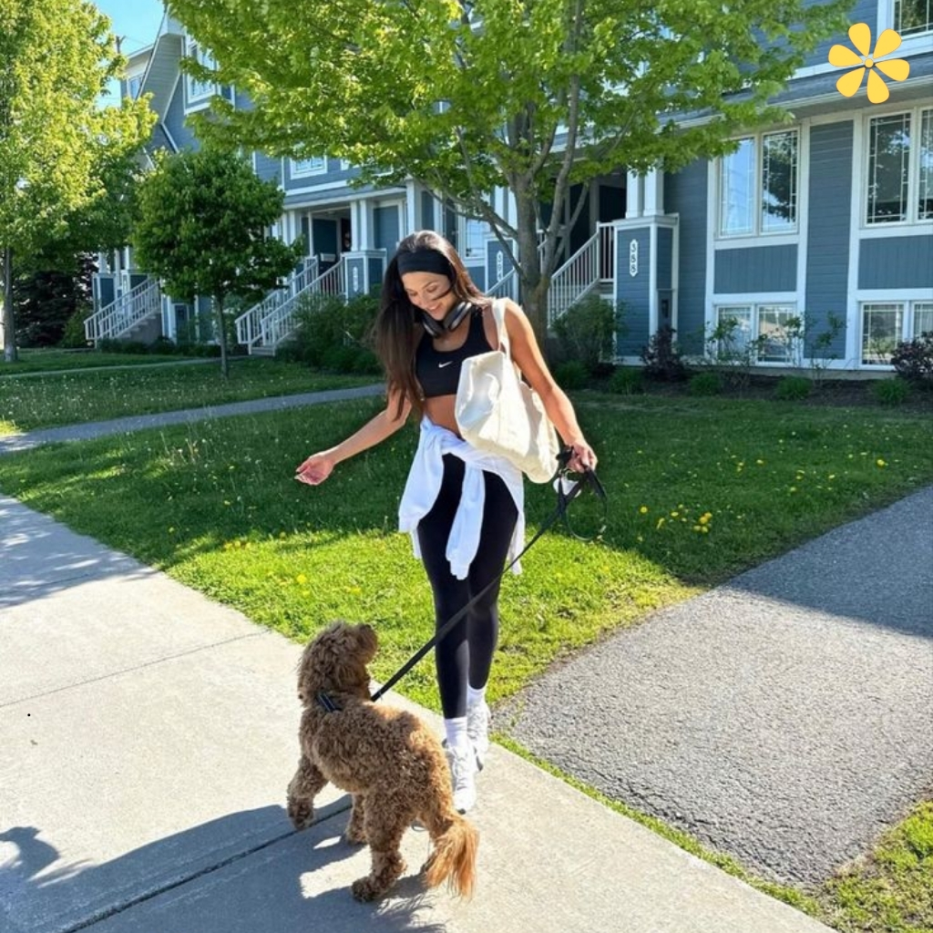 200+ Dog Walk Captions For Instagram That Will Fetch Likes zz 2 Dog Walk Captions For Instagram