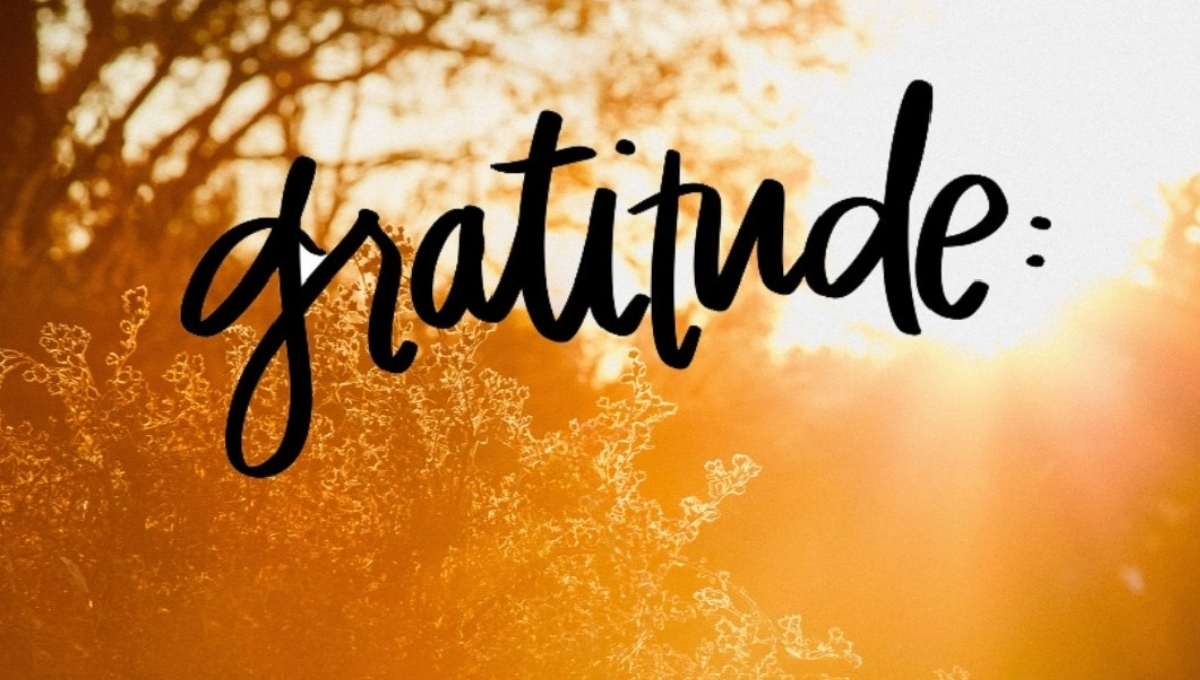 Gratitude Quotes