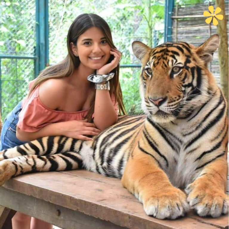 International Tiger Day Captions