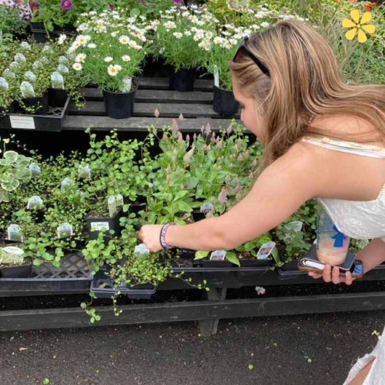National Gardening Day captions