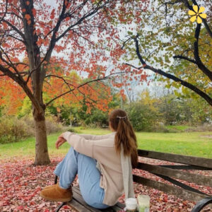 197+ Best November Quotes to Celebrate the Cozy Fall Vibes