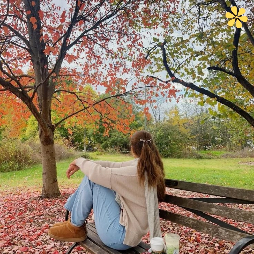 200+ November Quotes to Celebrate the Cozy Fall Vibes 9 November Quotes