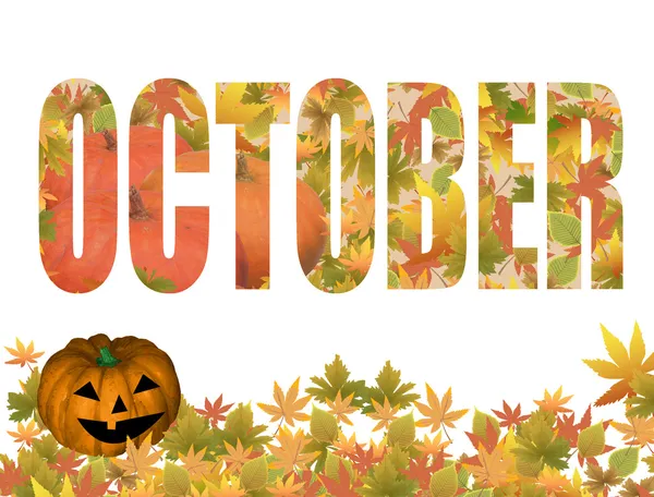 200+ Inspiring October Daily Quotes to Brighten Your Month and Boost Your Spirit 3 Reflective Quotes for Personal Growth This Month