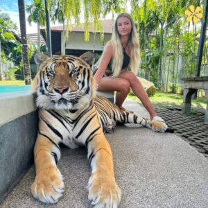 139+ Top Tiger Day Quotes to Roar for Wildlife and Raise Awareness