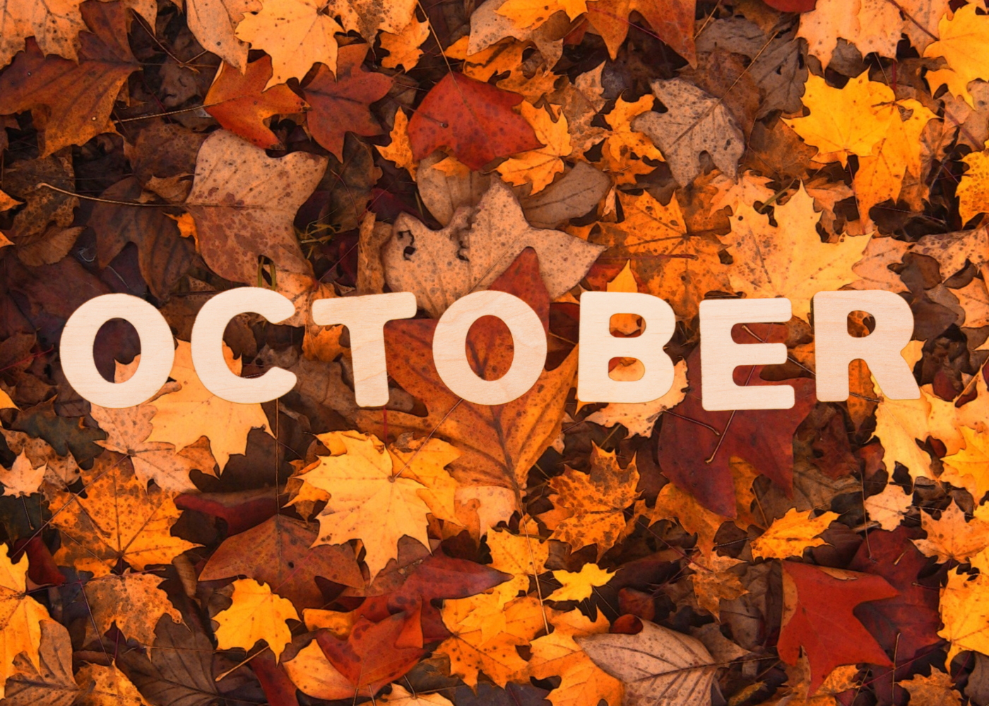 200+ Inspiring October Daily Quotes to Brighten Your Month and Boost Your Spirit 2 Uplifting Quotes to Celebrate Autumn