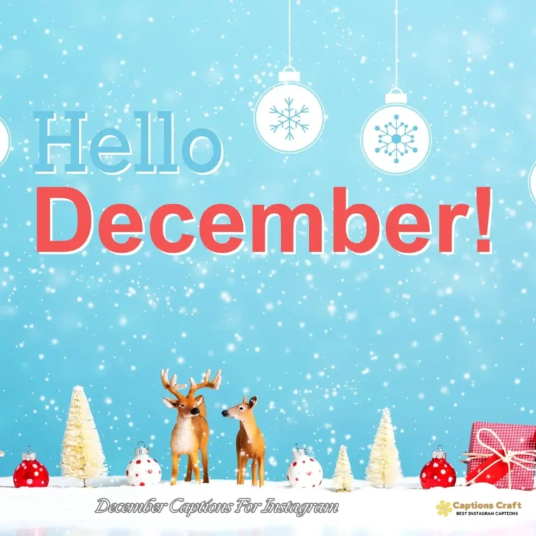 December Captions For Instagram