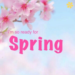 200+ First Day Of Spring Instagram Captions to Bloom Your Feed with Joy ZZ