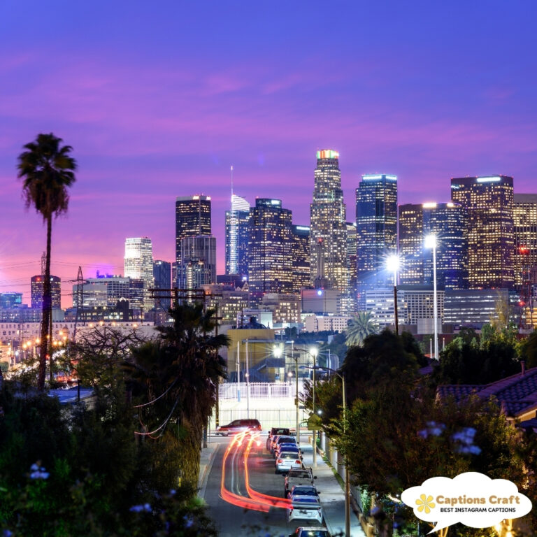 City skyline at dusk with vibrant pink and purple sky, palm trees framing the view.