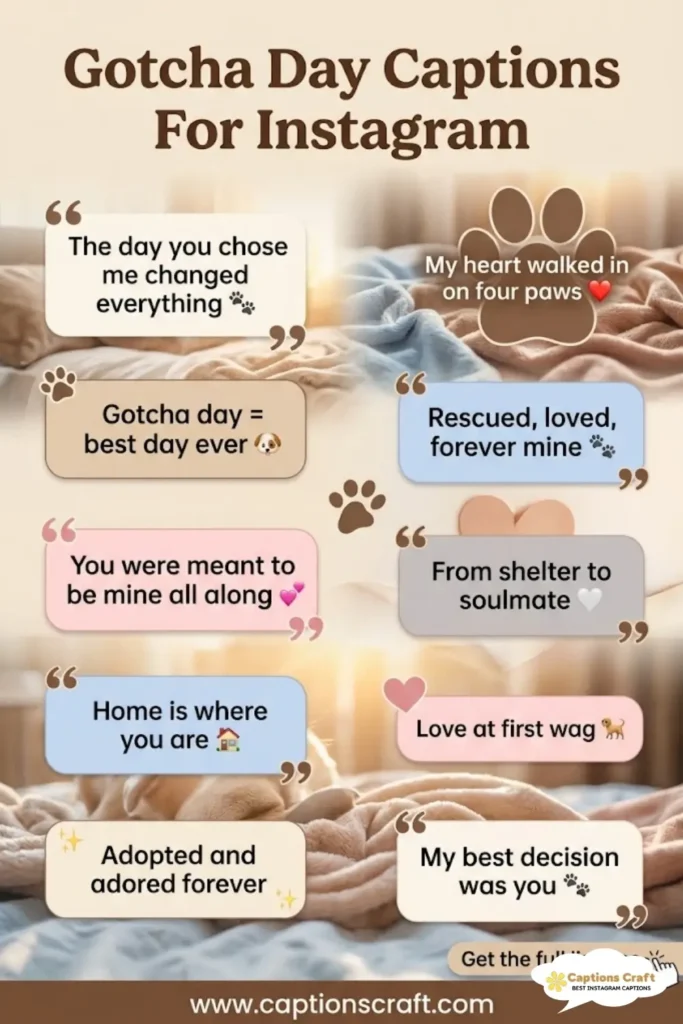 137+ Heartfelt Gotcha Day Captions For Instagram And Quotes to Celebrate Your Journey