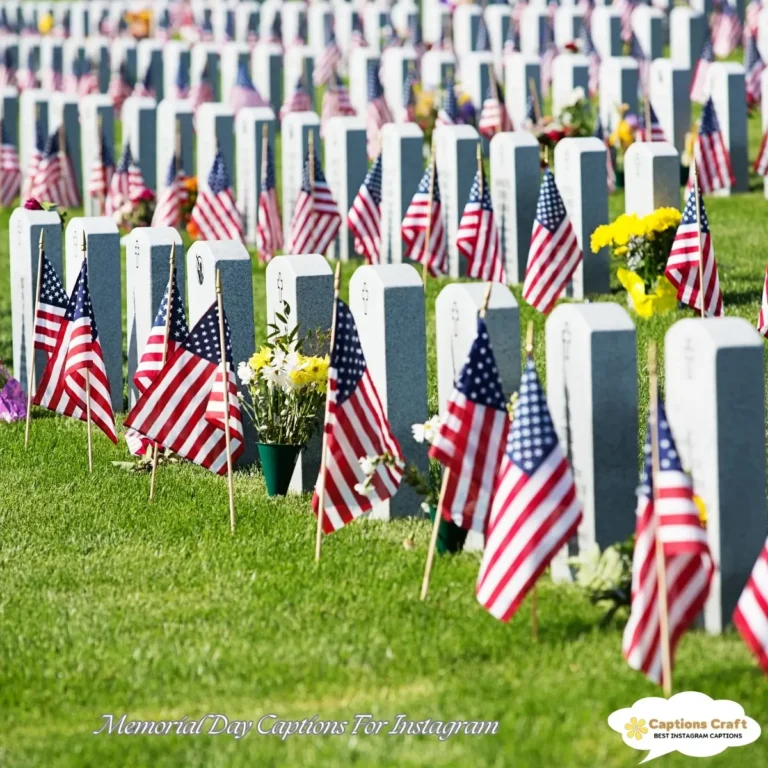 Memorial Day Captions For Instagram