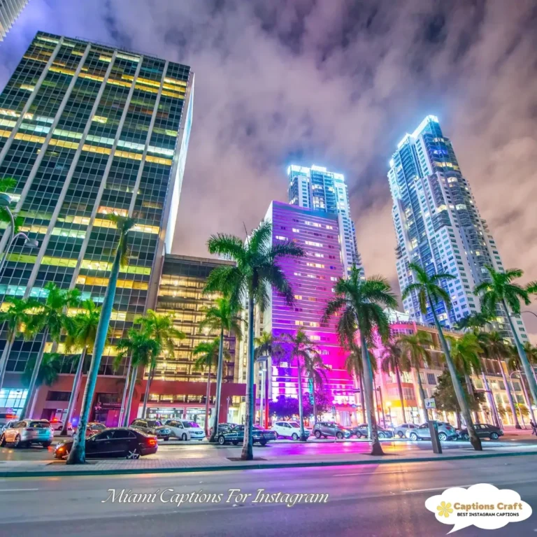 Miami Captions For Instagram