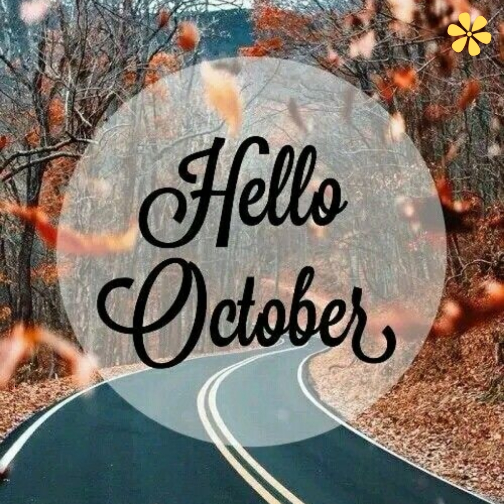 200+ October Quotes to Brighten Your Fall Days 10 October Quotes