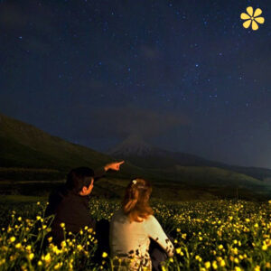 145+ Best Star Quotes to Illuminate Your Journey and Inspire Dreams