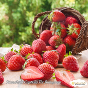 135+ Sweet Strawberry Captions For Instagram and Quotes to Brighten Your Feed