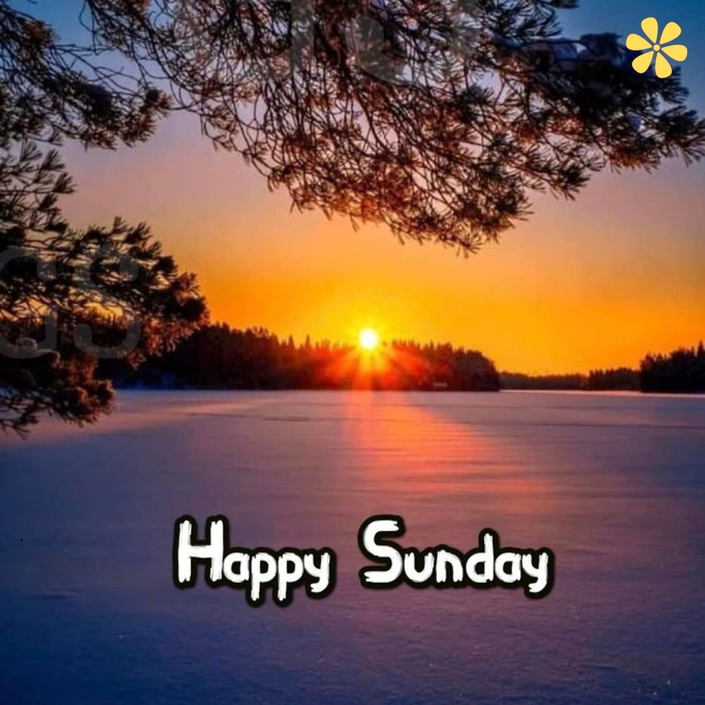 200+ Sunday Quotes to Brighten Your Week Ahead 16 Sunday Quotes