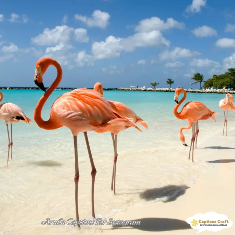 Aruba Captions For Instagram