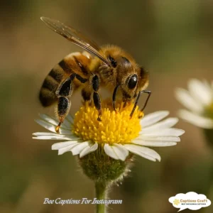 Buzzing Bee Captions For Instagram and Quotes That Spark Joy 125+ Times Over