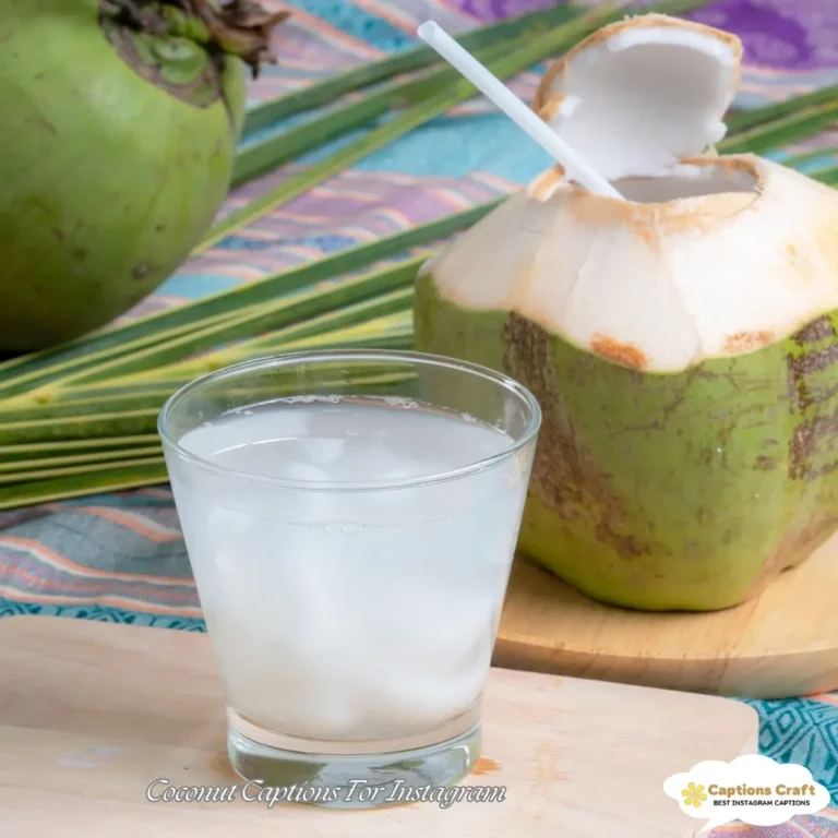 Coconut Captions For Instagram