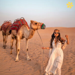 200+ Desert Instagram Captions to Capture the Beauty of the Sand