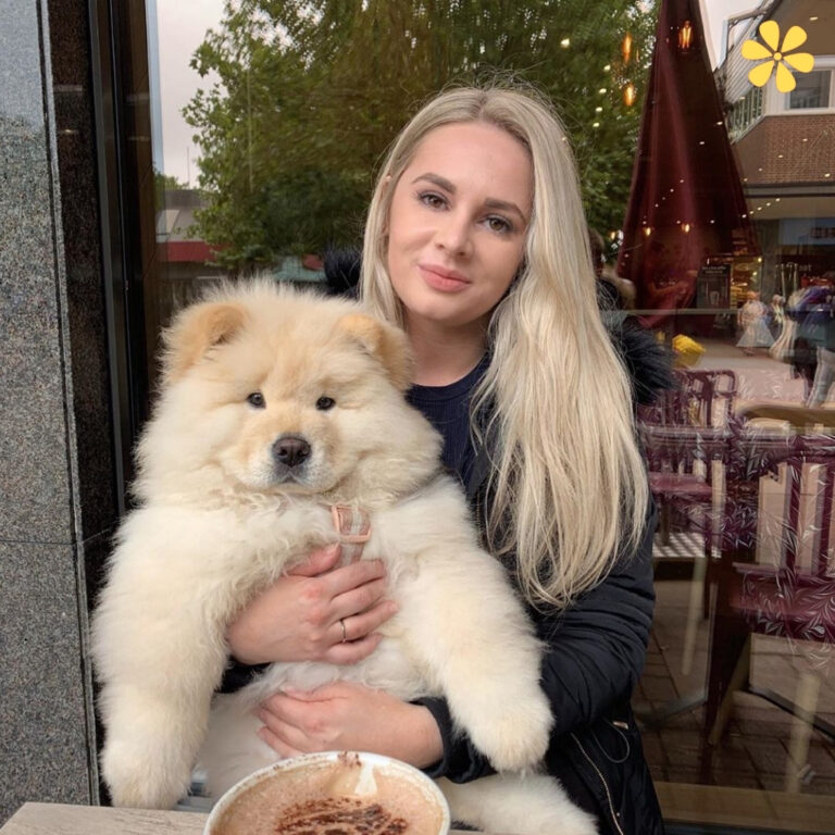 Dog Lover Captions For Instagram