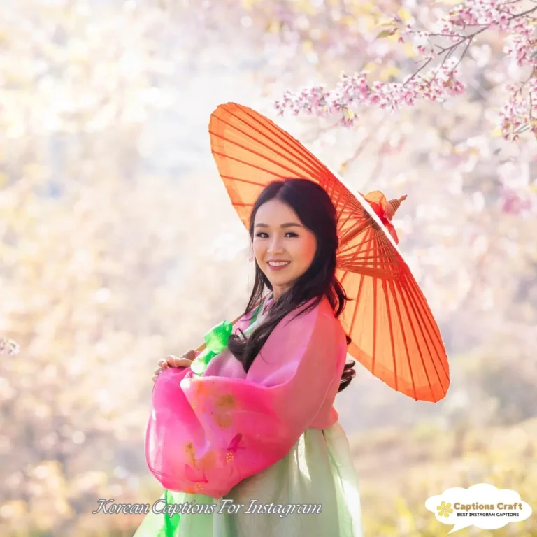 Korean Captions For Instagram