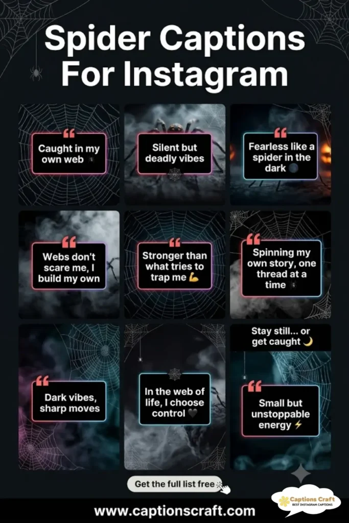 129+ Enchanting Spider Captions For Instagram and Quotes to Captivate Your Followers