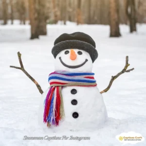 145+ Magical Snowman Captions For Instagram and Quotes to Spark Joy