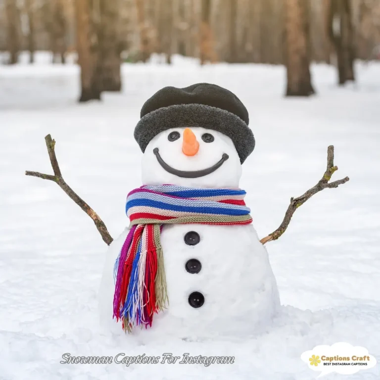 Snowman Captions For Instagram