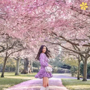 200+ Spring Quotes for Instagram to Celebrate New Beginnings