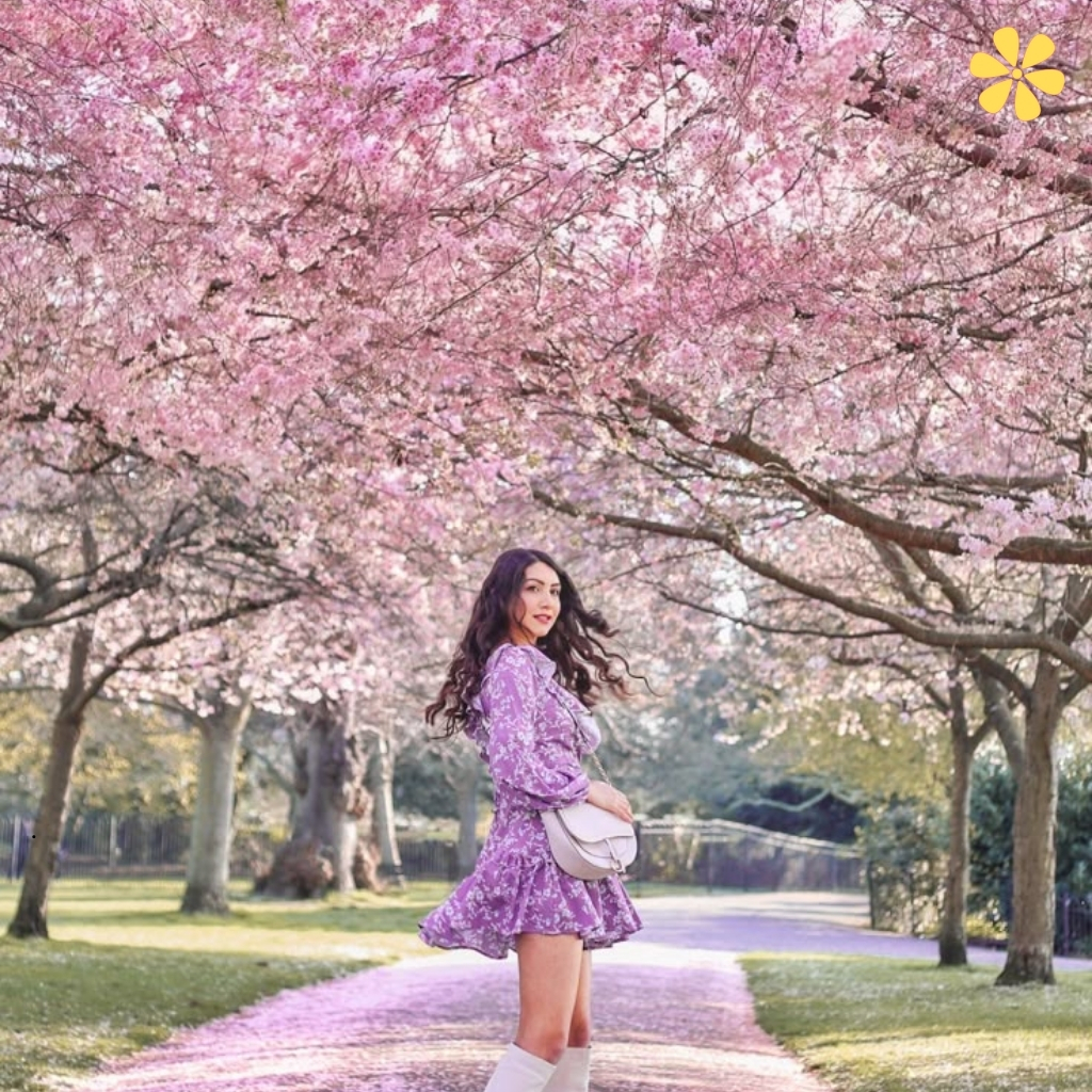 Spring Quotes for Instagram