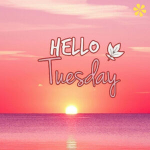169+ Best Tuesday Quotes to Brighten Your Week Ahead