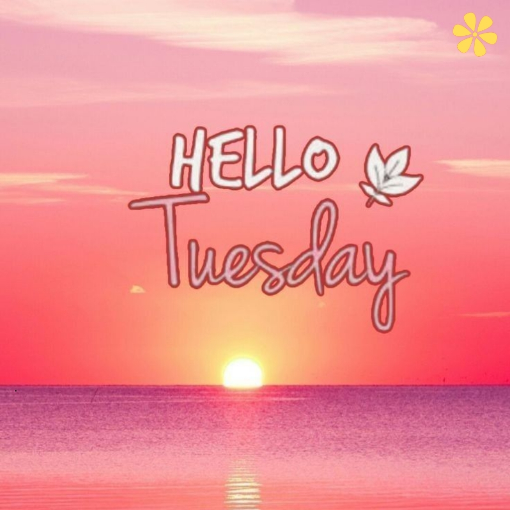 200+ Tuesday Quotes to Brighten Your Week Ahead 2 Tuesday Quotes