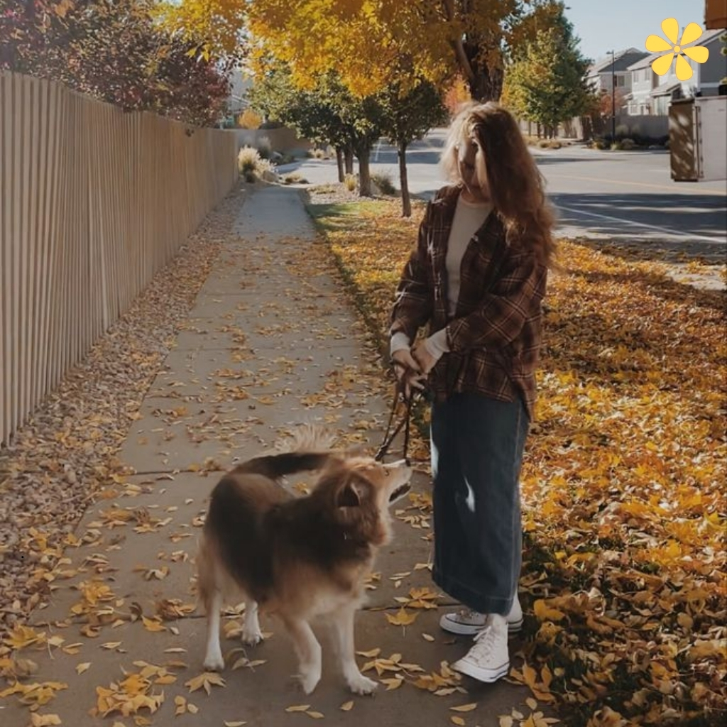 Autumn Dog Walk Instagram Captions