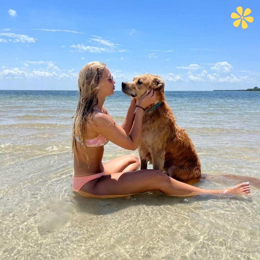 Beach With Dog Instagram Captions