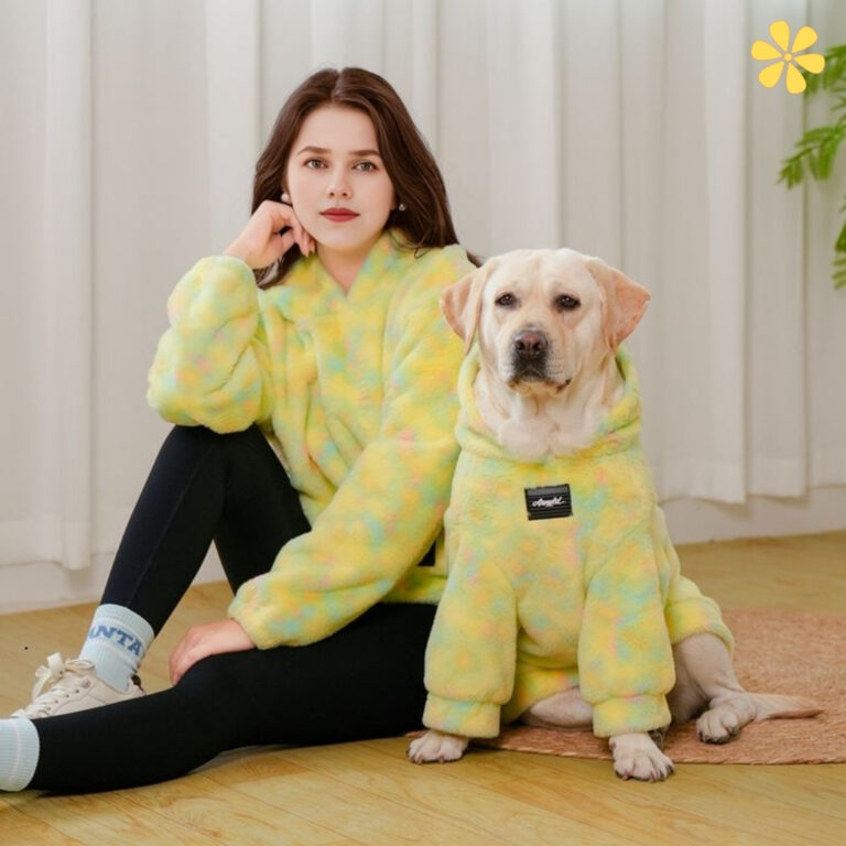 Creative Dog Instagram Captions