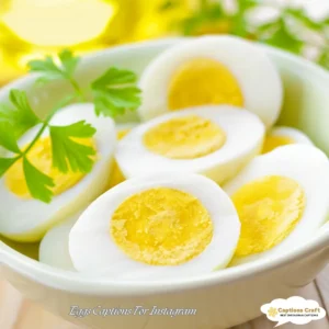137+ Deliciously Fun Eggs Captions For Instagram and Quotes That Will Spark Joy