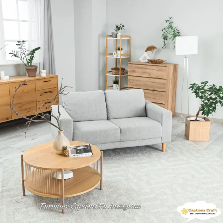 Furniture Captions For Instagram