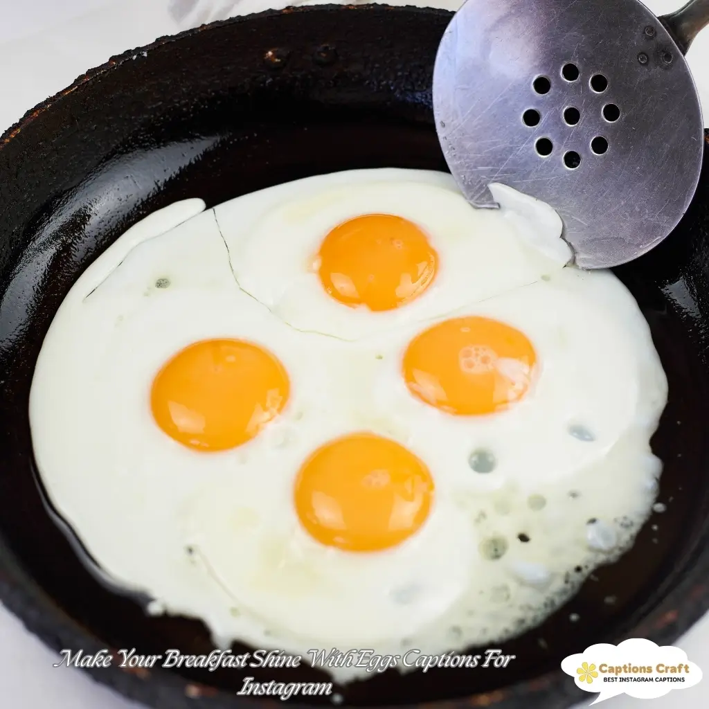 137+ Deliciously Fun Eggs Captions For Instagram and Quotes That Will Spark Joy